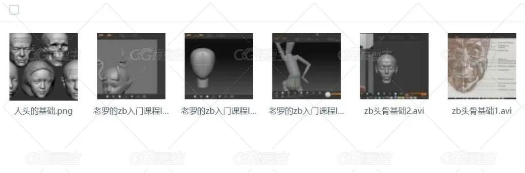 ZBrush人物头骨建模雕刻基础课程-2