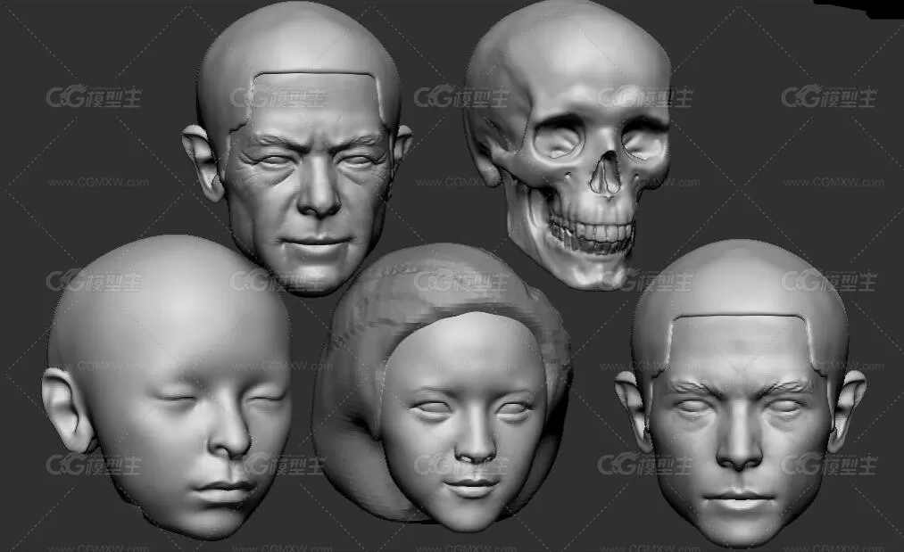 ZBrush人物头骨建模雕刻基础课程-1