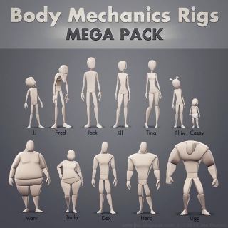 Body Mechanic Rigs