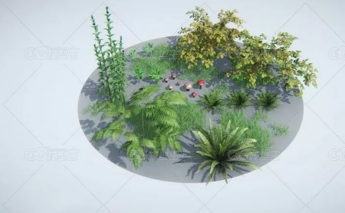 （森林植物，如花卉，植物，蕨类等）unity针叶林Coniferous forest 1.0-3