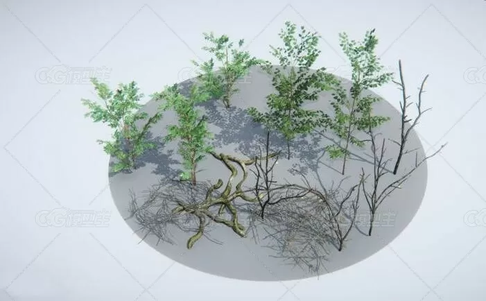 （森林植物，如花卉，植物，蕨类等）unity针叶林Coniferous forest 1.0-4