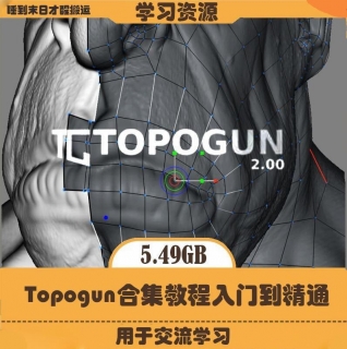 Topogun拓补入门新手到精通合集教程