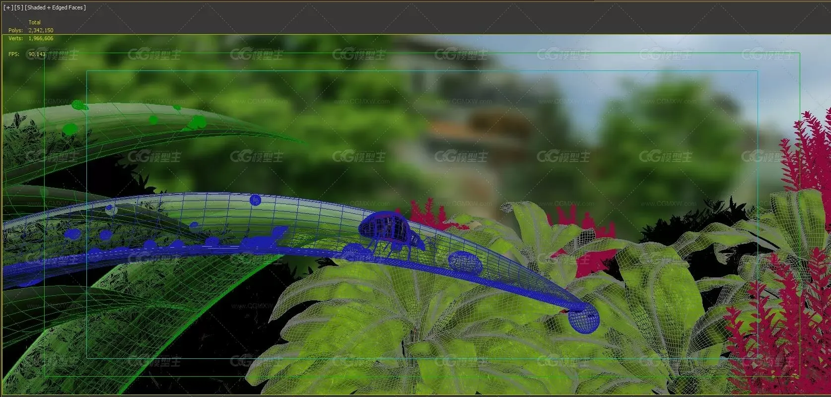水滴-七星瓢虫-植物湿地景观特写-公园湖边-2