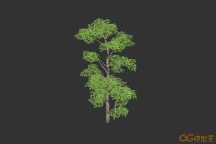 简模 小绿树  植物树木3d模型
