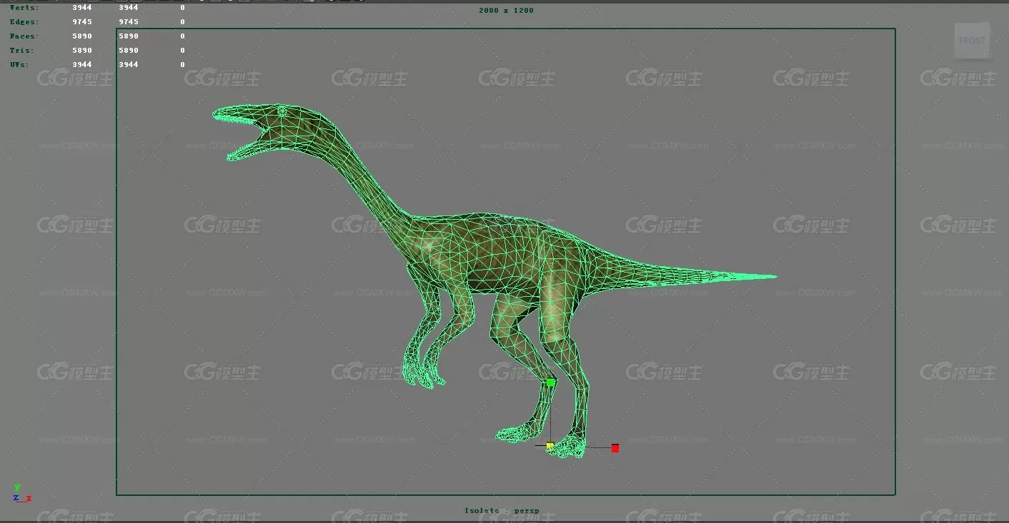 腔骨龙 远古生物 恐龙 地质博物馆 恐龙模型 3D模型 史前 侏罗纪公园 白垩纪 三叠纪-1