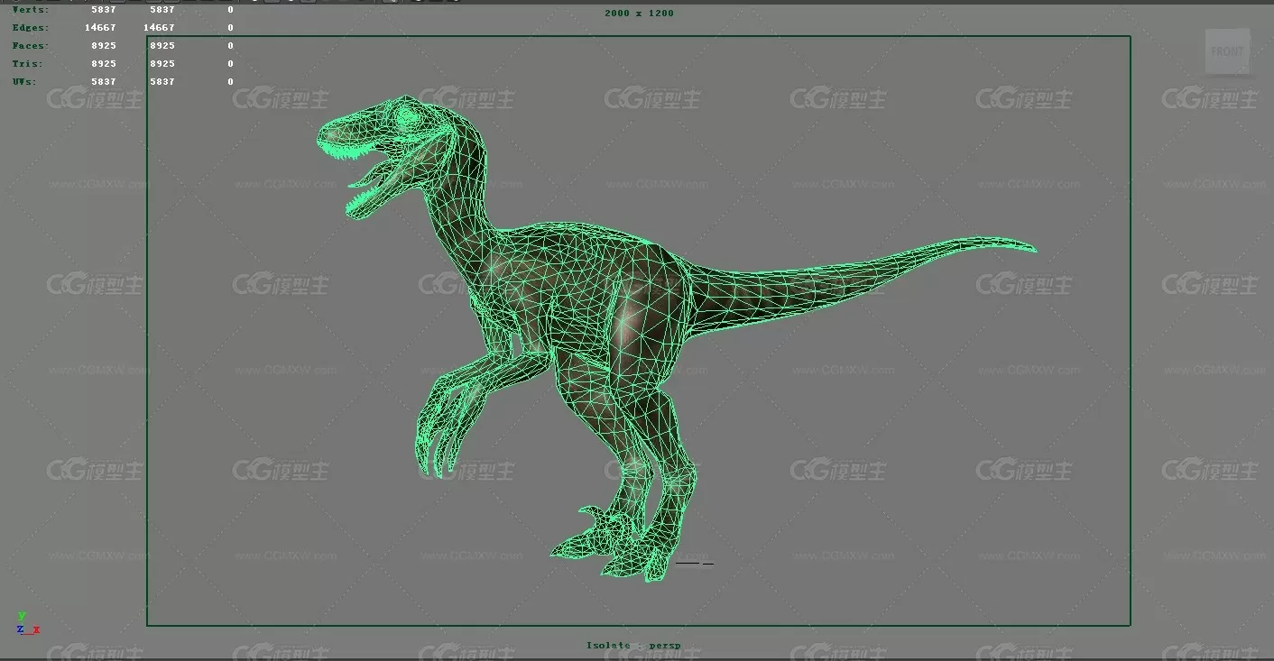 迅猛龙 恐爪龙 远古生物 恐龙 地质博物馆 恐龙模型 3D模型 史前 侏罗纪公园 白垩纪-1