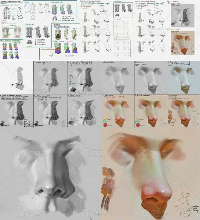 人物角色面部特征眼嘴鼻数字PS绘画视频教程-7