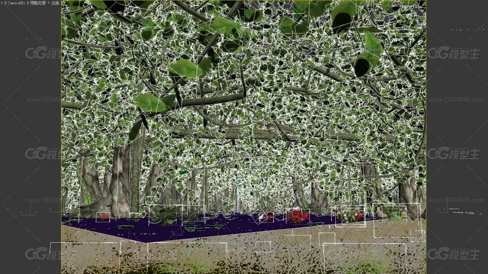 阳光穿透森林的体积光效果-蝴蝶-树叶-草地-3