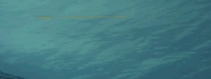 海底-海底世界-海马-鱼群-珊瑚海草贝壳-气泡