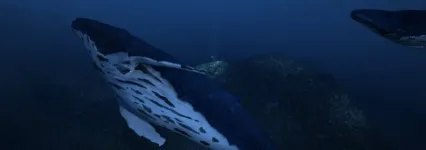 海底-鲸鱼-海洋-深海-海底世界