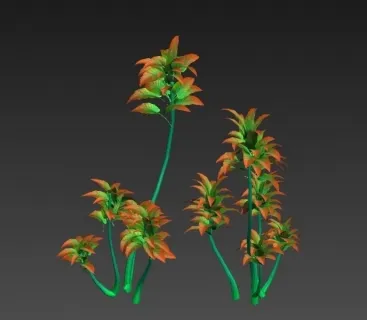 红叶小植物 小树木