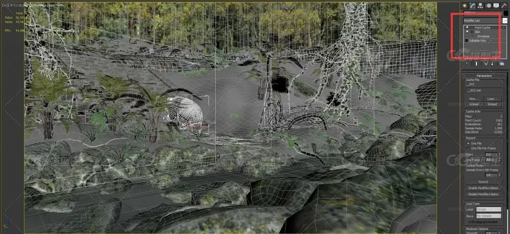 熊猫爬台阶-自然保护区-熊猫-茶马古道-台阶森林湿地景观-2