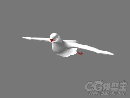 白鸽3D模型