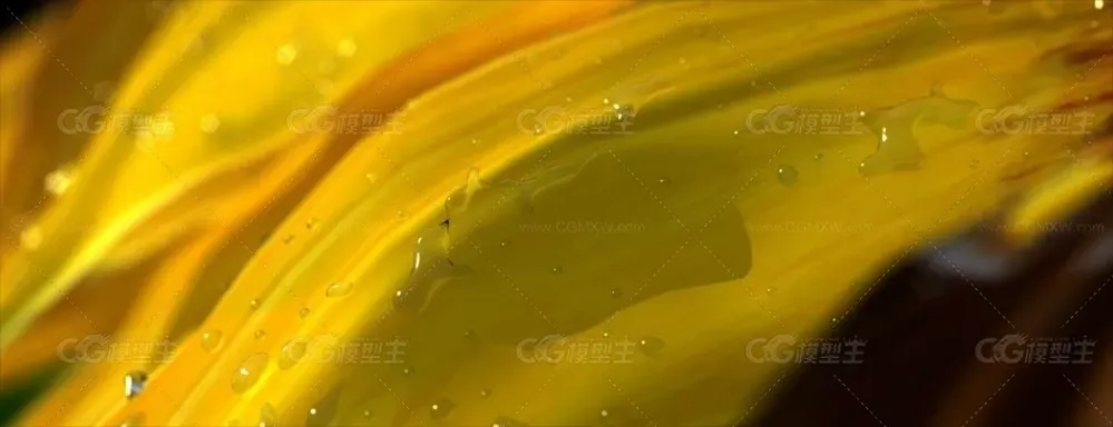 Sneezing sunflower(打喷嚏的向日葵)工程文件-向日葵-水珠-露水-2