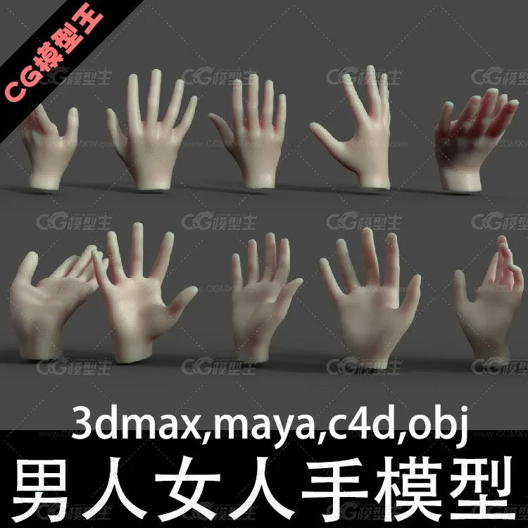 各种各样的男人手 女人手3d max模型合集-1