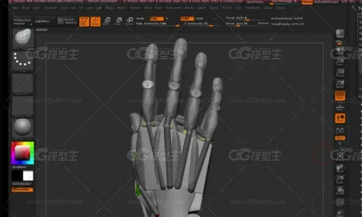 ZBrush人物解剖初学到入门视频教程-2