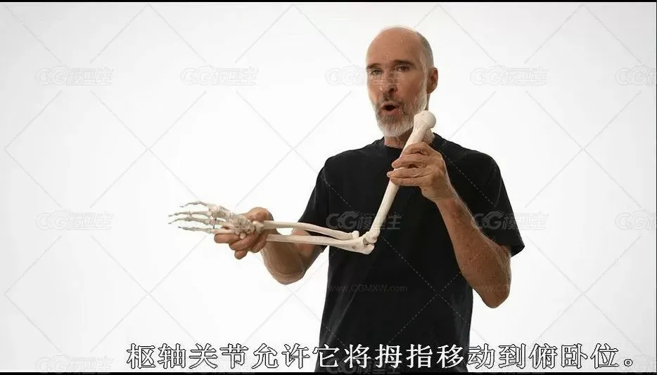 proko人物结构解剖高级教程-9