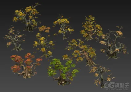 宝林寺植物19个