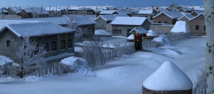 东北农村雪景冬景农家院冬天村庄农户农家院雪树冬天