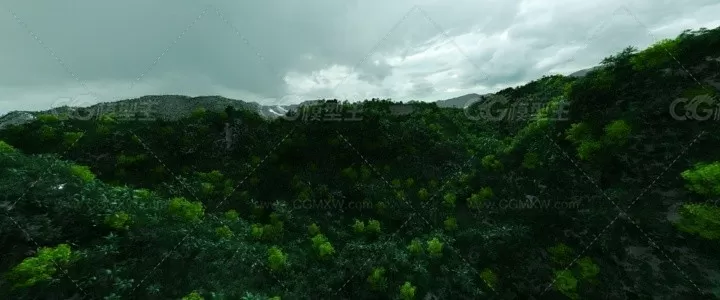 半鸟瞰人视山体热带山植物山峰树木丛林-2