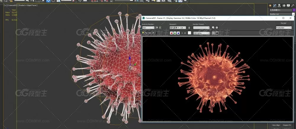 病毒 病毒细胞 有害菌 细菌 细菌体 医学模型 真菌-2