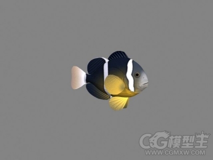 一条小金鱼3D模型下载