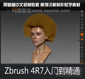 zbrush4R7教程(ZBrush入门到精通教程)120集