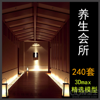 养生会所3DMAX模型240套 有需要的下载吧