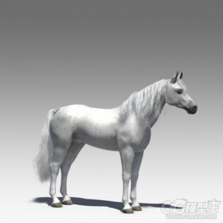 一匹白马C4D模型 带绑定和动画