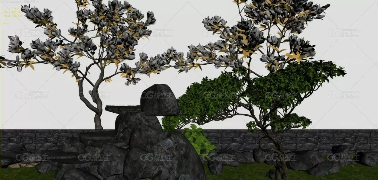 植物，石头，景观树-1