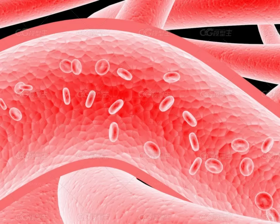 医学动画 血管 红细胞 血液 血细胞 血光内颗粒 红细胞病毒，血细胞 人体结构 循环...-4