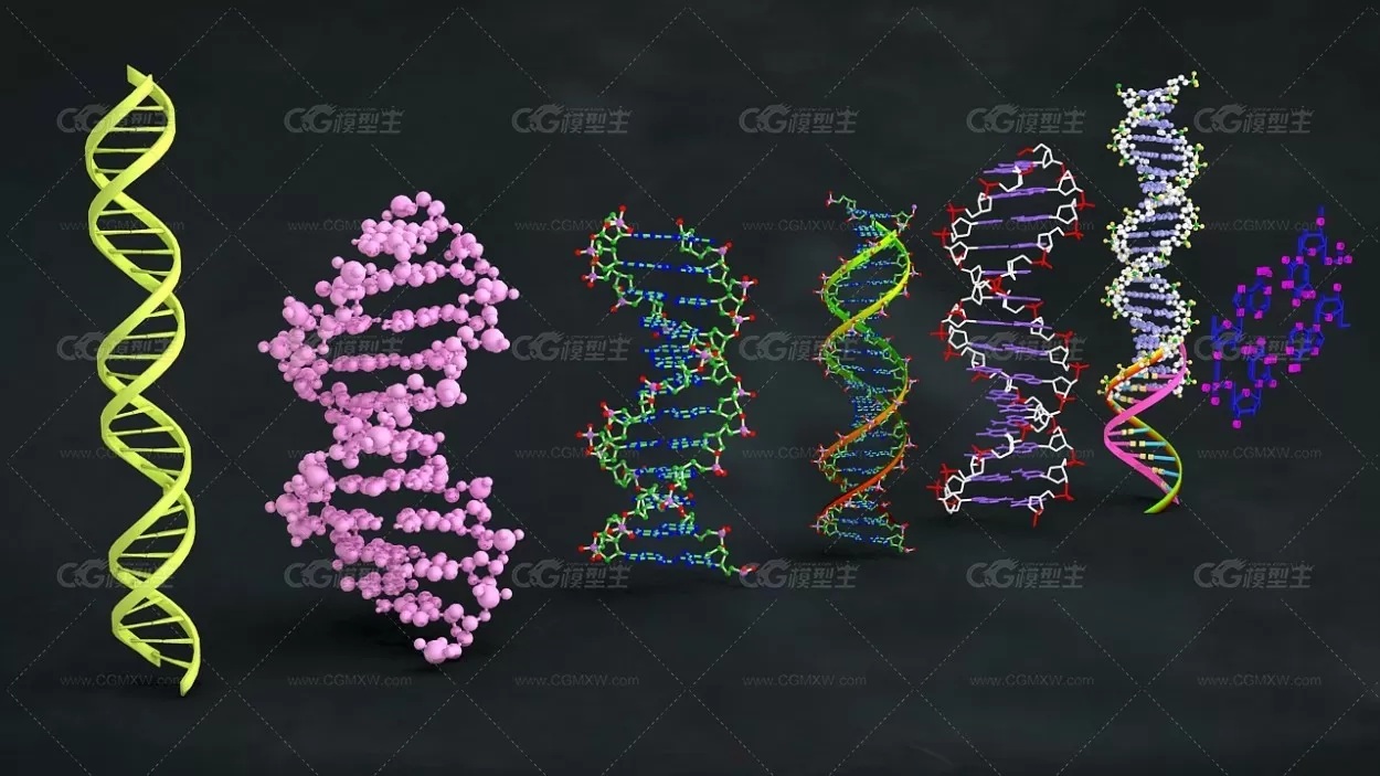 病毒 DNA,遗传基因DNA，螺旋结构 DNA排序 DNA结构模型 DNA链条 生物模型 遗传物质结-1