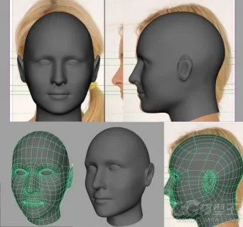 建模女人头3D模型 布线很不错 有需要的下载吧