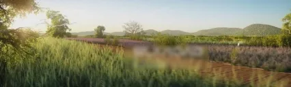 湿地景观森林公园湿地公园泽地国家森林草地