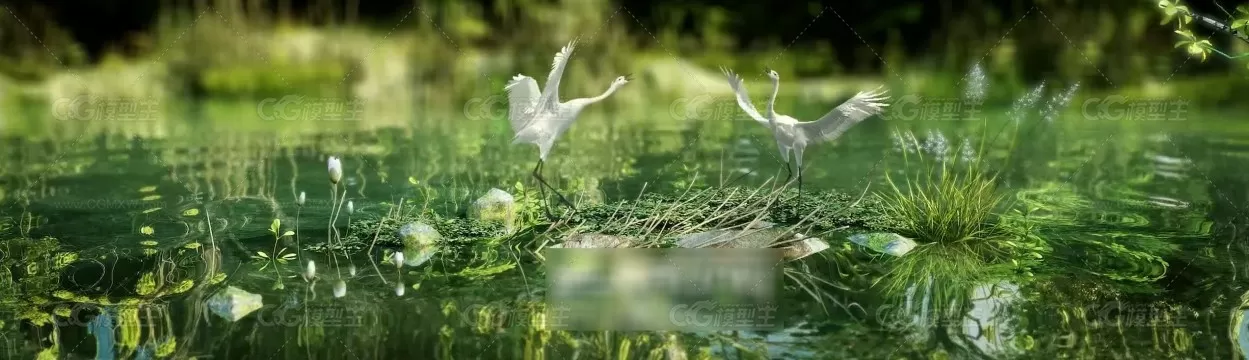 湿地景观 河边湖泊白鹭鸟荷花莲花仙鹤国家森林公园沼泽地树林 草地鸟-1