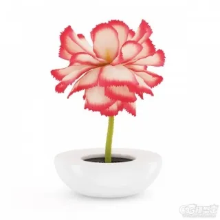 室内花卉盆栽3D模型