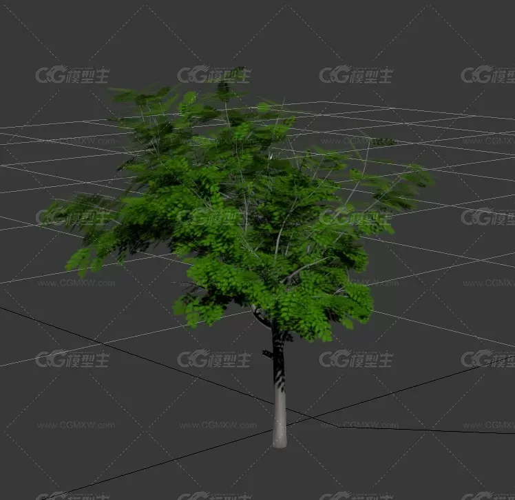 槐树3dmax模型免费下载！-1