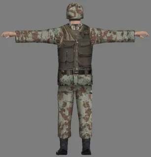 現役美軍阿兵哥