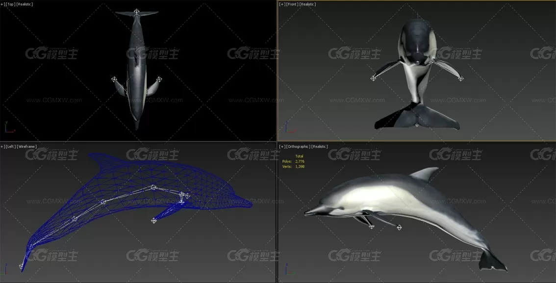 海豚3dmax模型 带绑定和动画-2