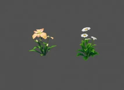 植物野花