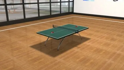 室内乒乓球馆