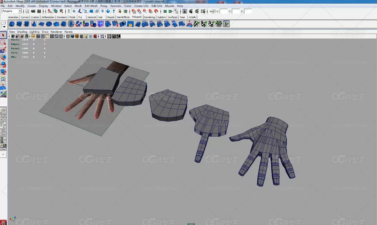 maya手部建模过程下载！从零开始手掌基础建模布线maya模型下载！新手做手掌必备参考-2