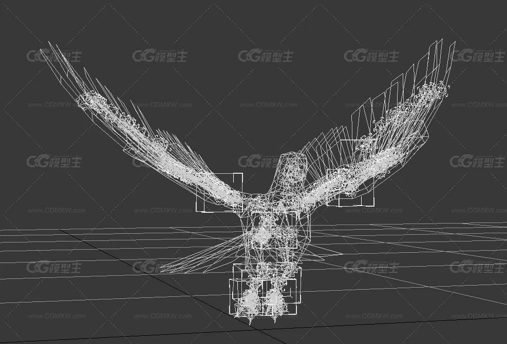 鸽子3D模型 有绑定和动画-8