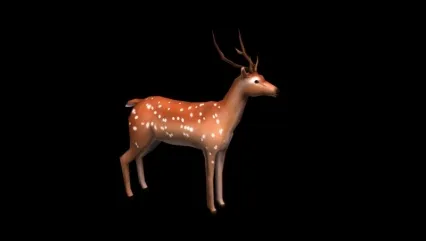 小鹿3D模型 有绑定