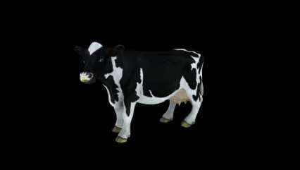 奶牛3D模型