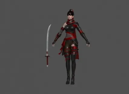 黑暗复仇者3 Assassin_School
