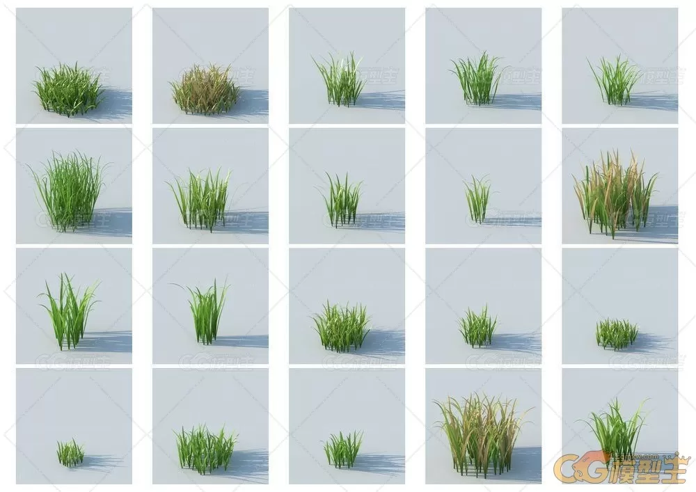 HQ Grass vol.1 for Cinema4D植物3D模型的合集-2