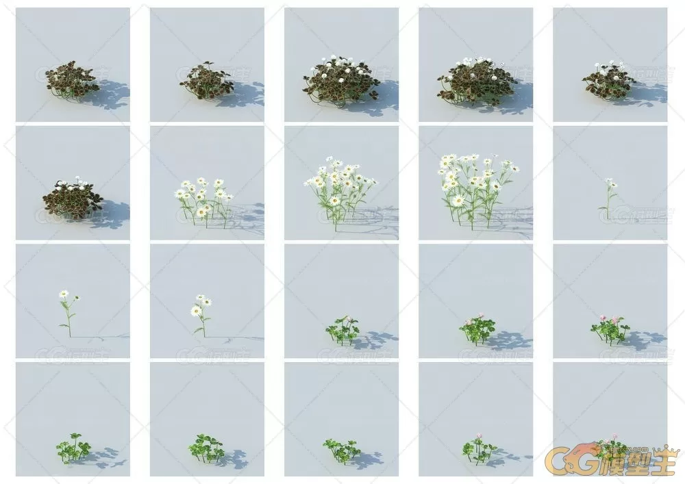 HQ Grass vol.1 for Cinema4D植物3D模型的合集-3