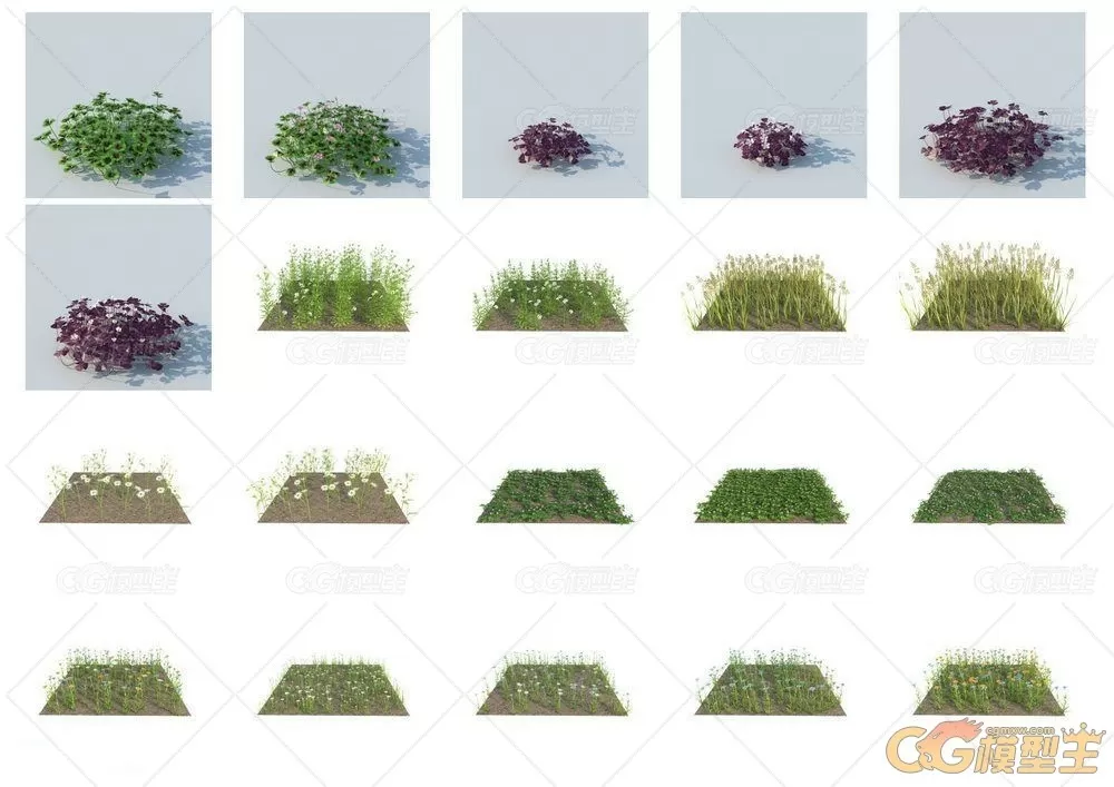 HQ Grass vol.1 for Cinema4D植物3D模型的合集-5