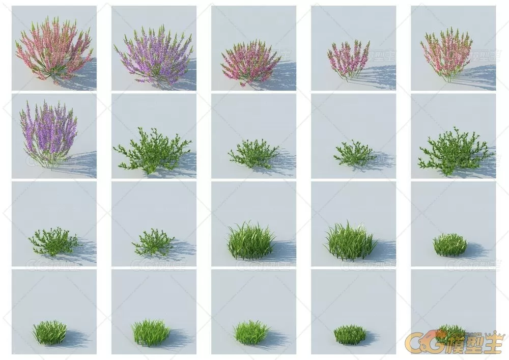 HQ Grass vol.1 for Cinema4D植物3D模型的合集-4